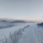 Dana Дом отдыха